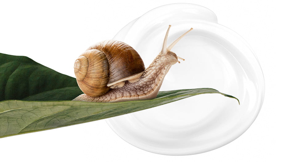Molluscoo kosmetyki z wysoką zawartością śluzu ślimaka HELIX