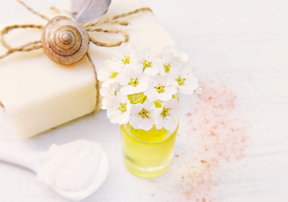 Sekrety Piękna: Naturalne składniki, które warto poznać